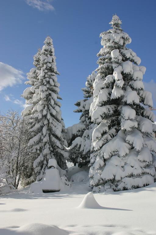 An Der Via Claudia Augusta Daire Fiss Dış mekan fotoğraf