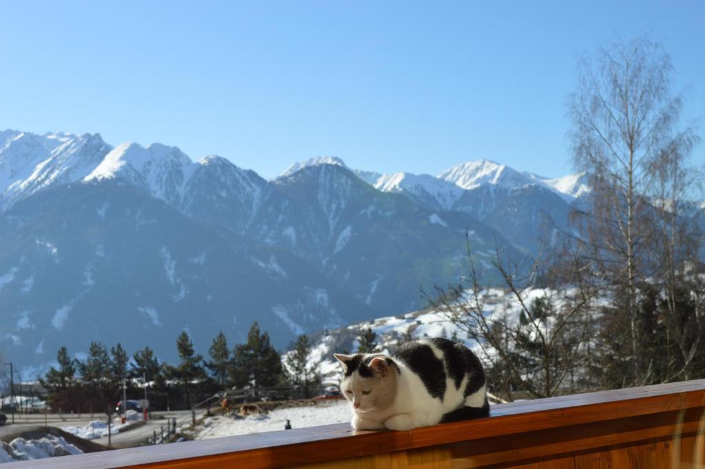 An Der Via Claudia Augusta Daire Fiss Dış mekan fotoğraf
